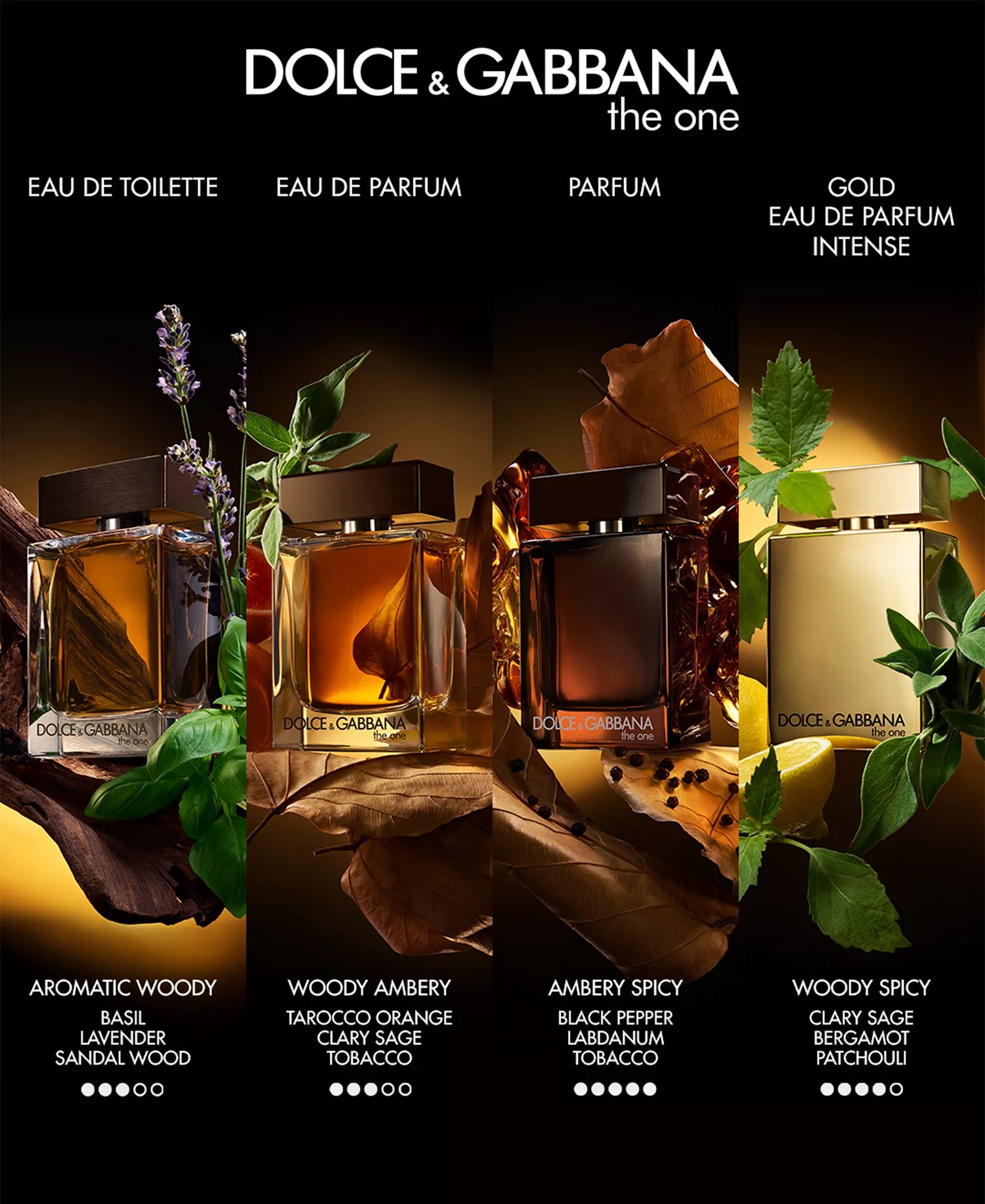 Dolce & Gabbana perfume bottles with leafy elements on a dark background