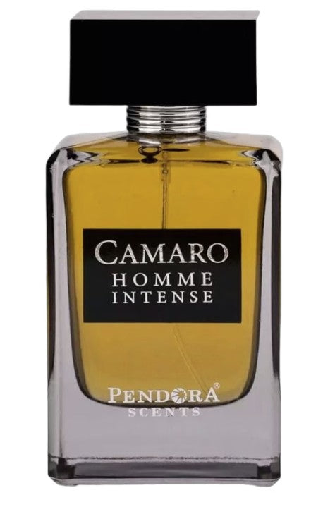 Paris Corner Camaro Homme Intense 5 ml Decant – Smooth Iris Woody