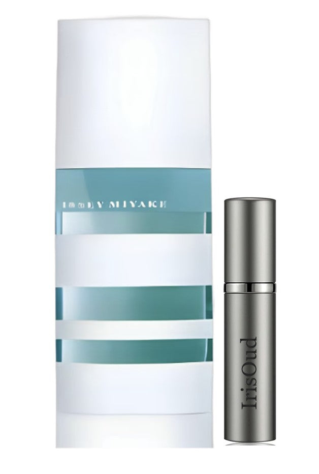 Issey Miyake L'Eau d'Issey Pour Homme Summer 2010 Discontinued Travel Spray Decant