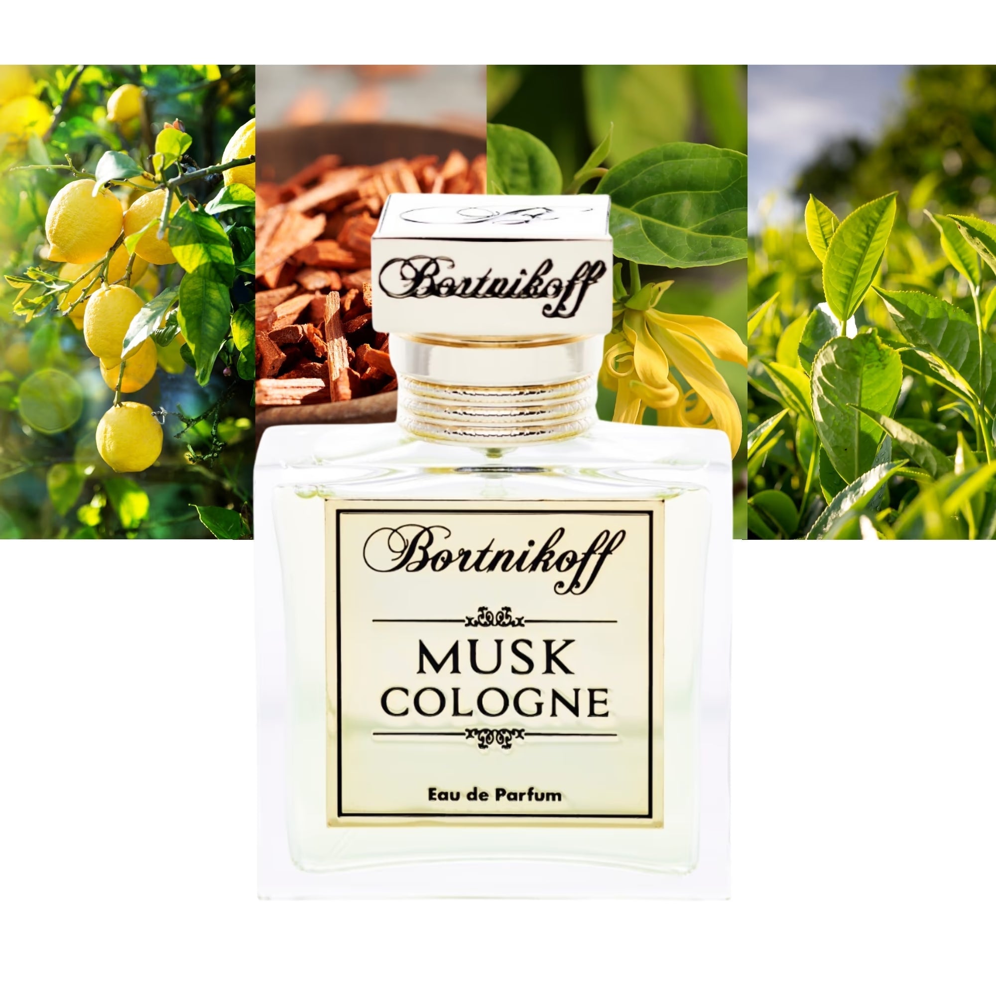 Bortnikoff Musk Cologne Eau De Parfum 1.7 oz