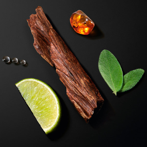 ARMANI Acqua di Gio Homme Intense 2026 EDP 100 ml 3.4 Oz